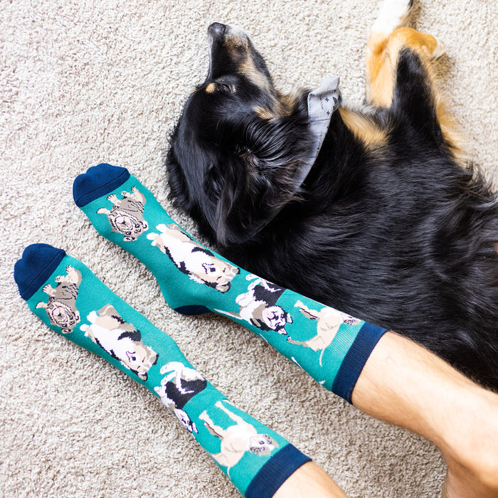 I'd Rather Be With My Dog Socks (Green)