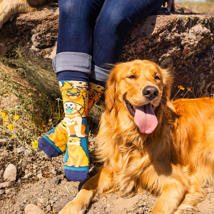 Life Is Golden Socks