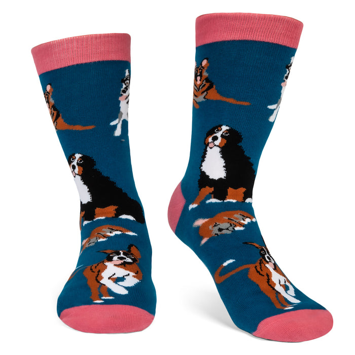 I'd Rather Be With My Dog Socks (Blue)