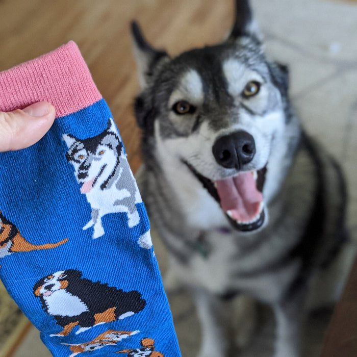 I'd Rather Be With My Dog Socks (Blue)