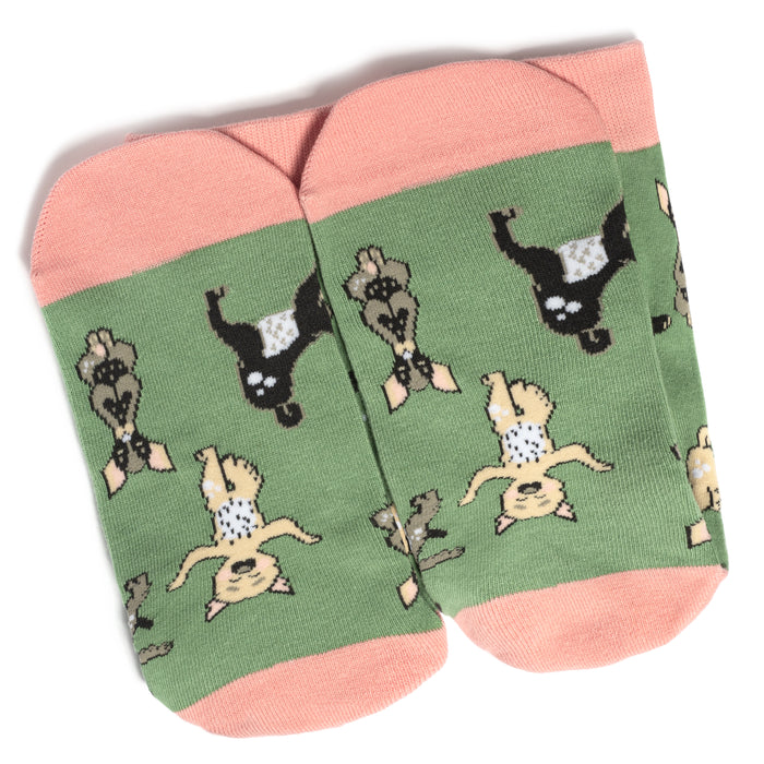 Yoga Dog Socks